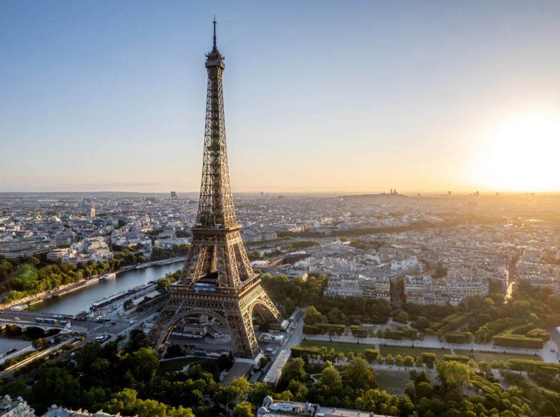 International <br> Property Consultants